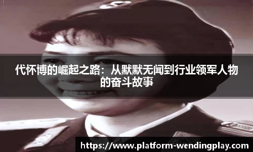 代怀博的崛起之路：从默默无闻到行业领军人物的奋斗故事